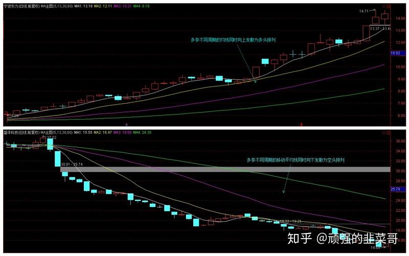 兴农评丨广东医保新政激活村医动能