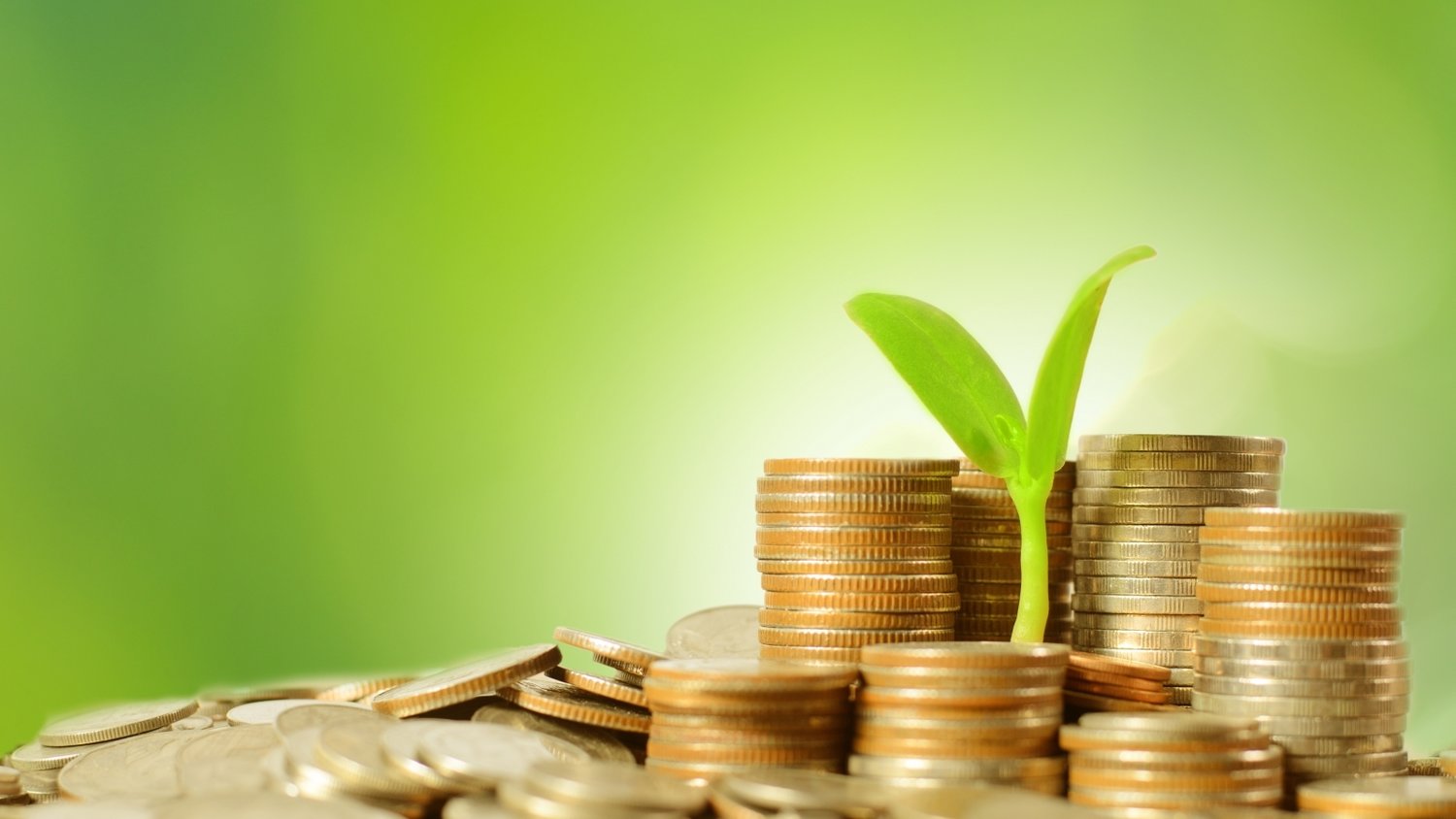 让“树尖”到“舌尖”的距离更短