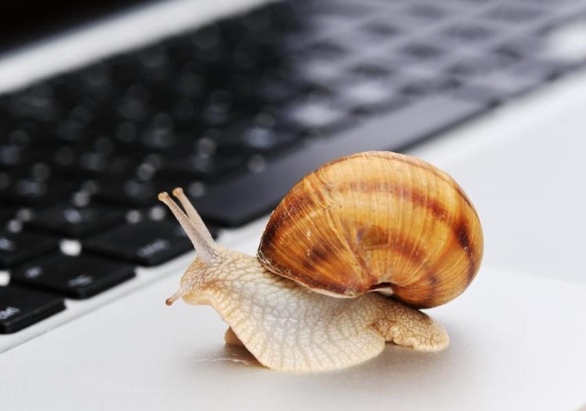 京津沪渝市场监管部门联合开展产品质量可靠性创新实践工作 助力制造业高质量发展