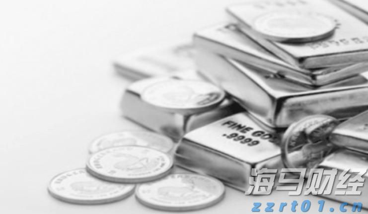 霞山区“红树林保护协作探索工作室”正式揭牌